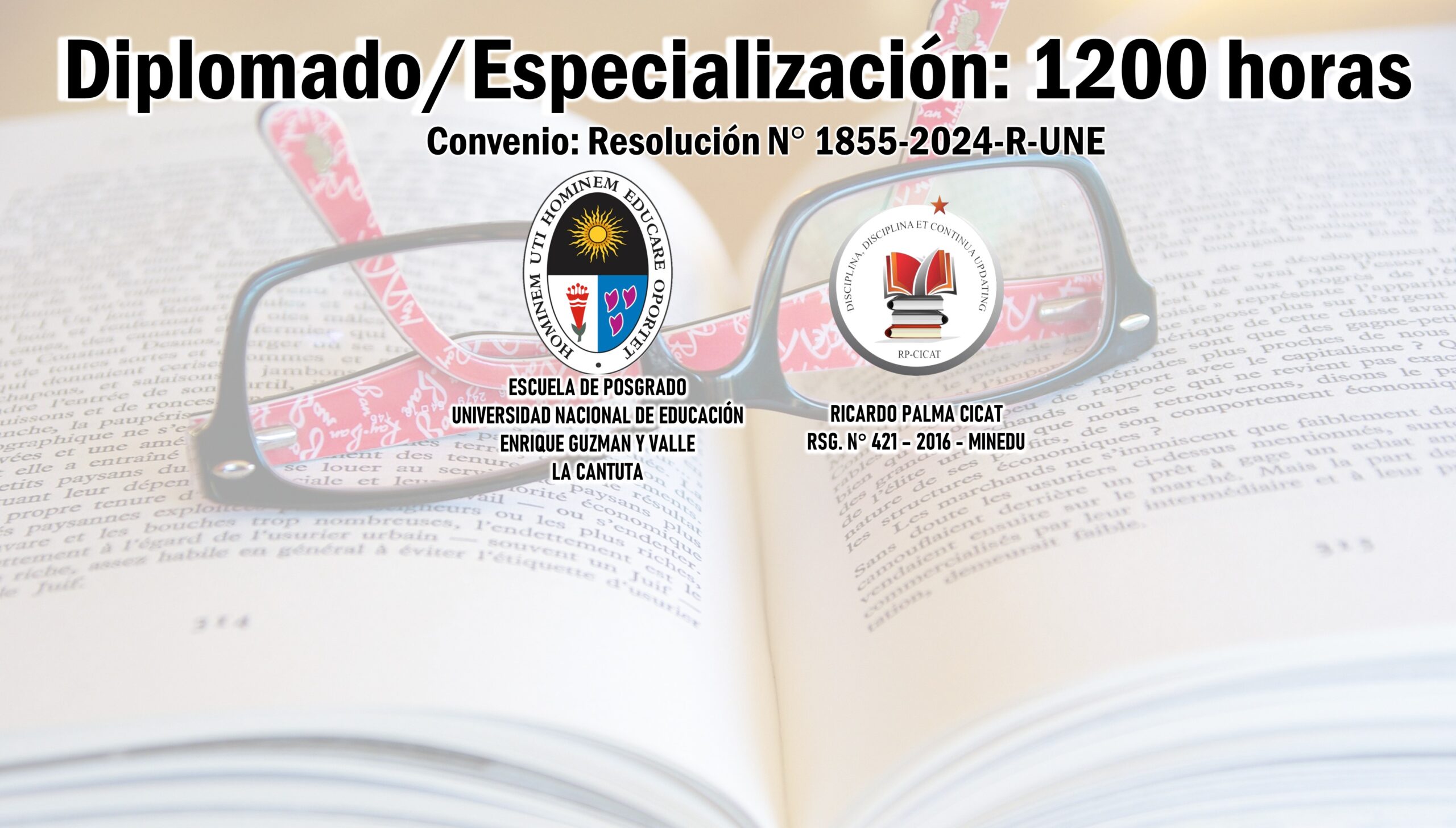 DIDÁCTICA DE LENGUAJE Y COMUNICACIÓN EN LA EDUCACIÓN BÁSICA REGULAR